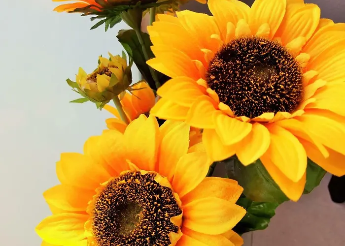 Sunset Spot Fuerteventura Premium I